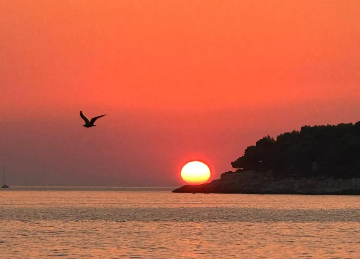 Lux Apartments In Downtown Pula Croatia