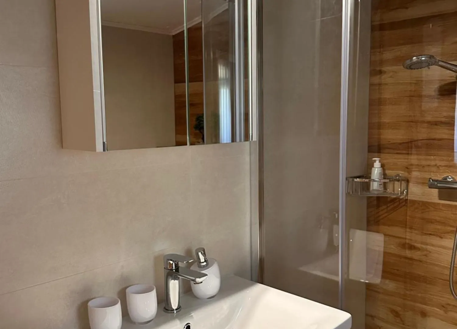 Lux Apartments In Downtown Pula